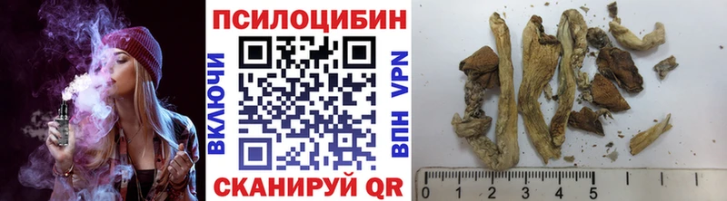 дарнет шоп  Сарапул  Псилоцибиновые грибы ЛСД 