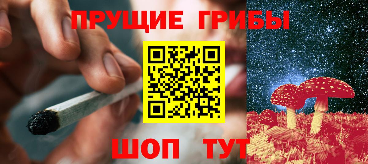 Галлюциногенные грибы мицелий  наркотики  Сарапул  Галлюциногенные грибы GOLDEN TEACHER 