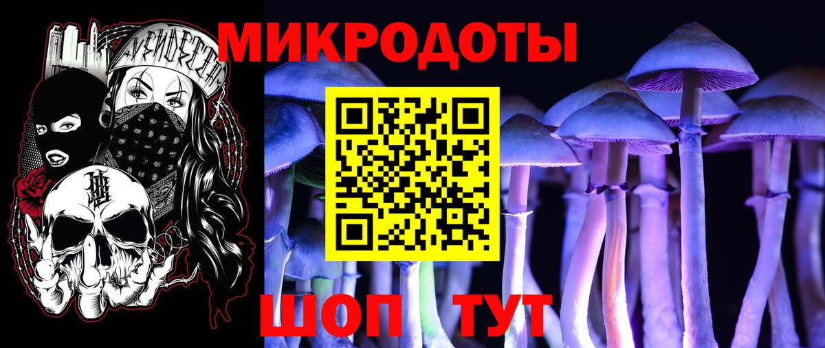 Псилоцибиновые грибы Psilocybine cubensis Сарапул